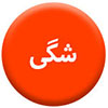 شگی100.100